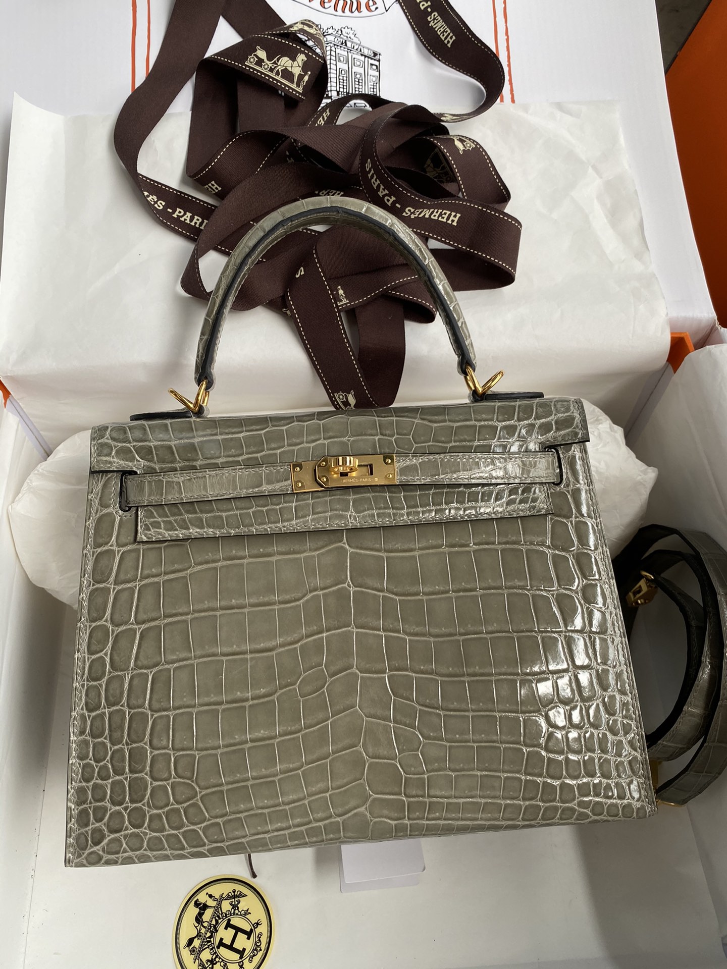 Hermes Kelly 25cm Handbag Shoulder Bag In Grey Shiny Crocodile Niloticus Leather